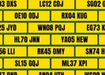 Spot the Duplicate Car Plates in this Brain Teaser within 7 seconds