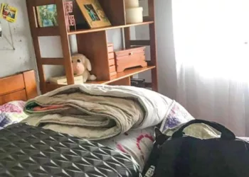 Put your observation skills to the test and find a cat hidden in this optical illusion image