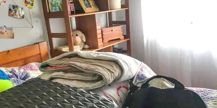 Put your observation skills to the test and find a cat hidden in this optical illusion image