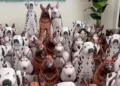 Optical Illusion Spot Real Dog Among Fake Pet Pooches