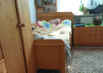 Optical Illusion Spot The Cat Hidden In The Bedroom