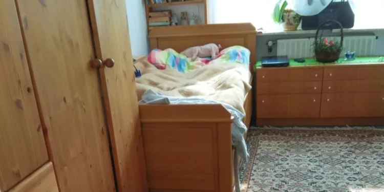 Optical Illusion Spot The Cat Hidden In The Bedroom