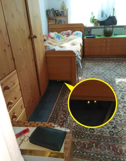 Spot The Cat Hidden In The Bedroom Optical Illusion Answer