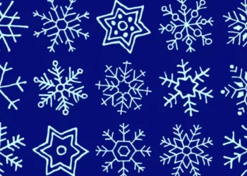 Brain Teaser Spot Twin Snowflakes In The Picture