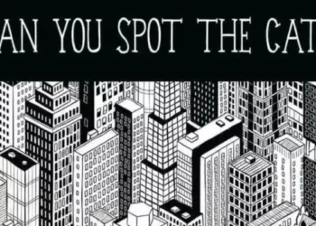 Optical Illusion Spot Hidden Among The Buildings In The Picture