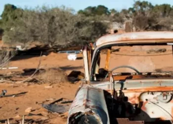 Optical Illusion Spot Snail Hidden In The Deserted Junkyard Picture