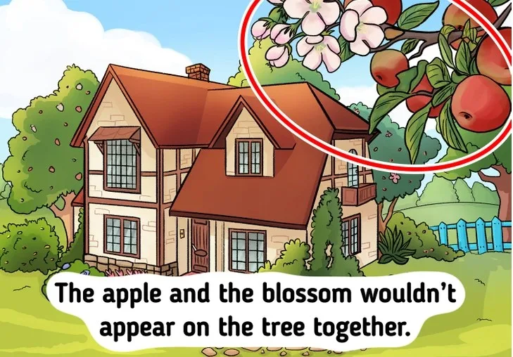 Spot Mistake In The Beautiful House Picture Brain Teaser Answer