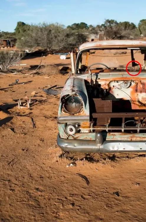 Spot Snail Hidden In The Deserted Junkyard Picture Optical Illusion Answer