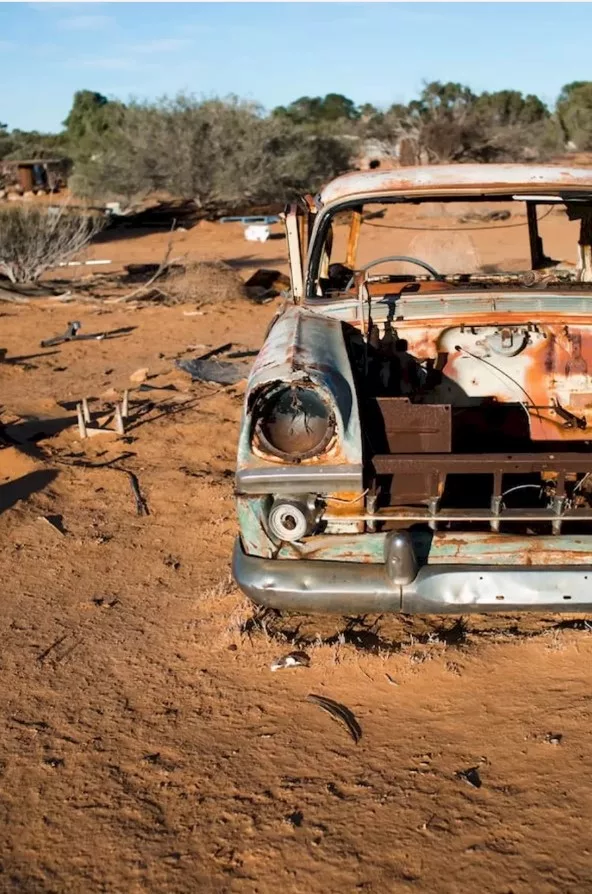 Can You Spot the Hidden Snail in the Deserted Junkyard Picture?