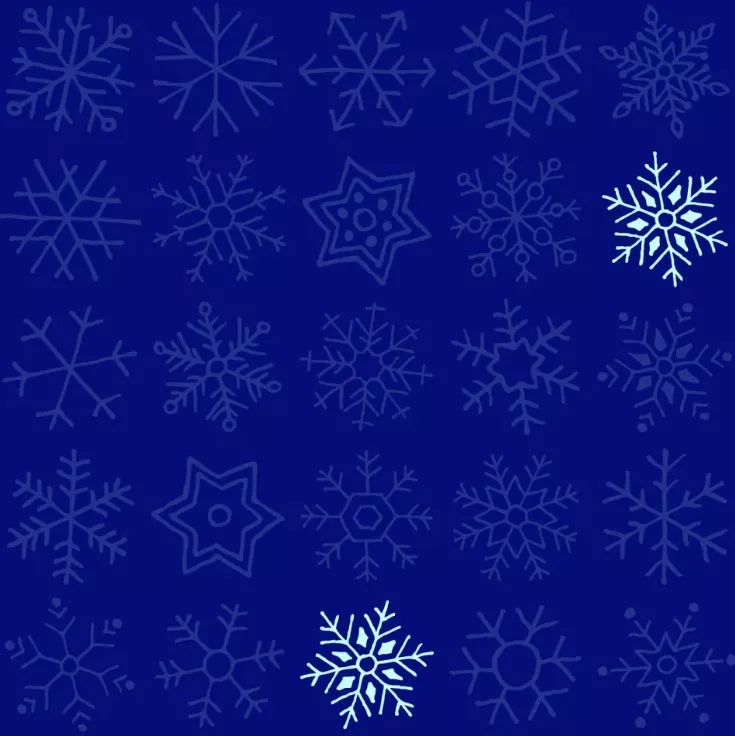 Spot Twin Snowflakes In The Picture Brain Teaser Answer