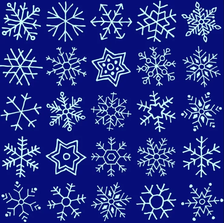 Spot Twin Snowflakes In The Picture Brain Teaser