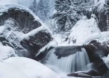 Optical Illusion Spot The Bear In The Snow Mountain Picture