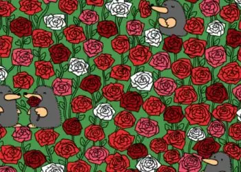 Brain-Teaser-Spot 3-Hearts-Among-Roses-In-Picture