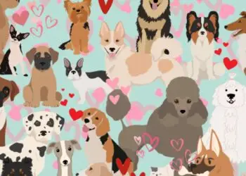Optical Illusion Spot The Cat Hidden Among The Puppies