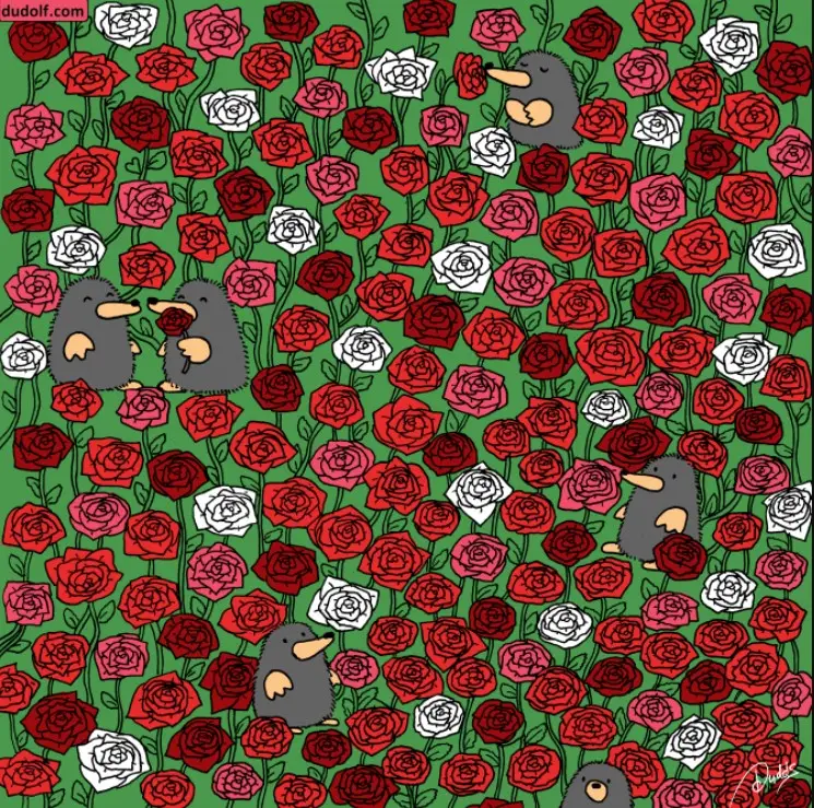 Spot 3 Hearts Among Roses In Picture Brain Teaser