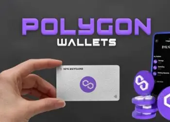 13 Best Polygon Wallets in 2024 You Need to Checkout